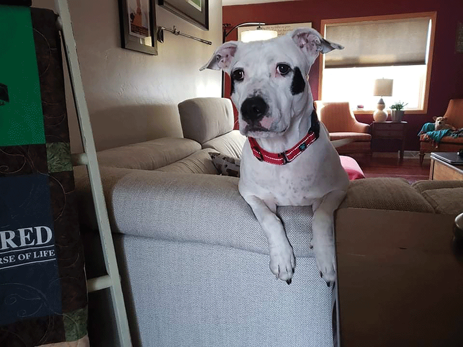 Life – Unforgettable Underdogs – Jan/Feb 2022