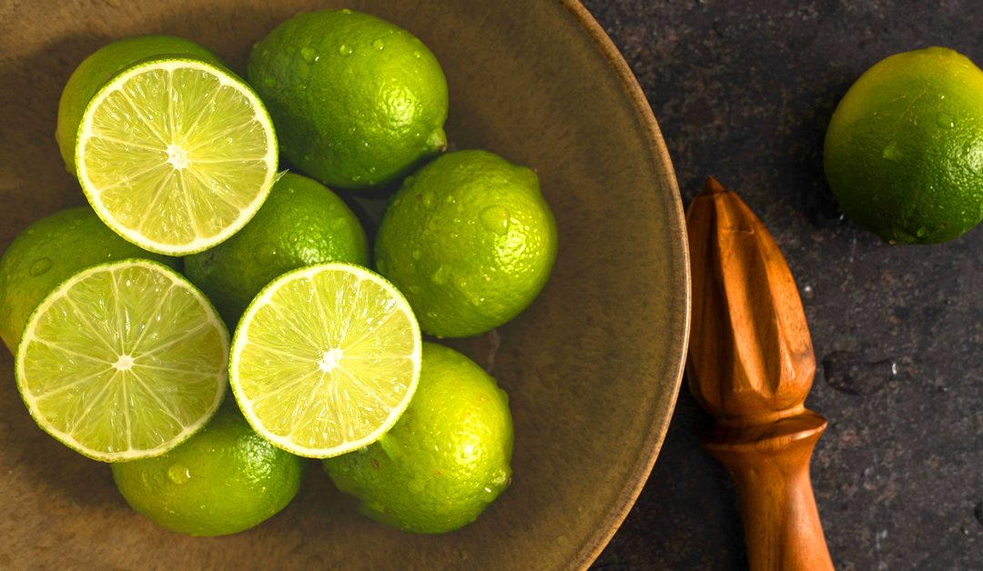 Carly’s Pastries | Lime Bars